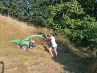 Vogelwiese Eisbaeren 2023